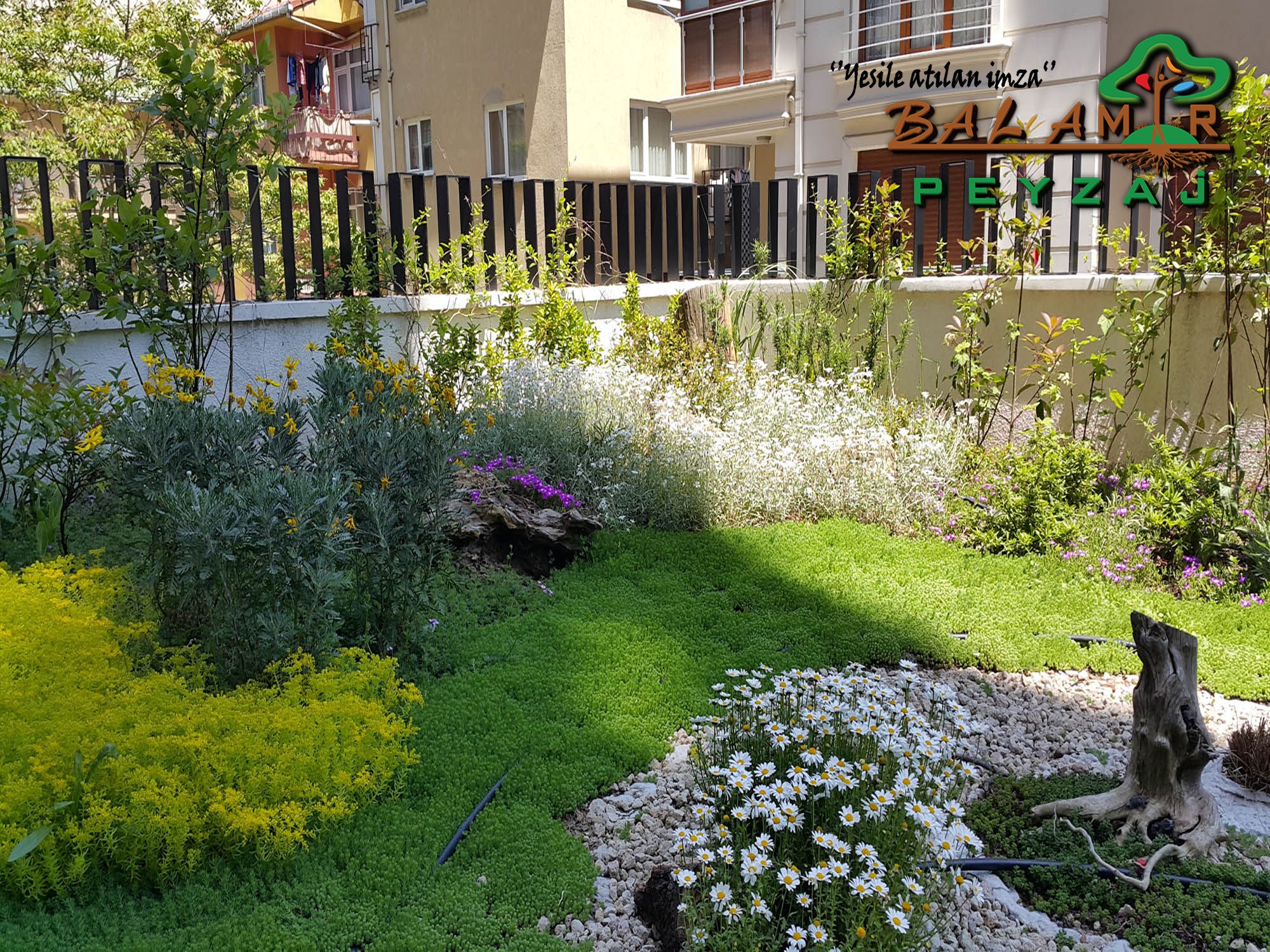 Avlu bahçesi · Ana bahçenin girişten görünümü · Sonrası · Çiçek ve yer örtücü detayı