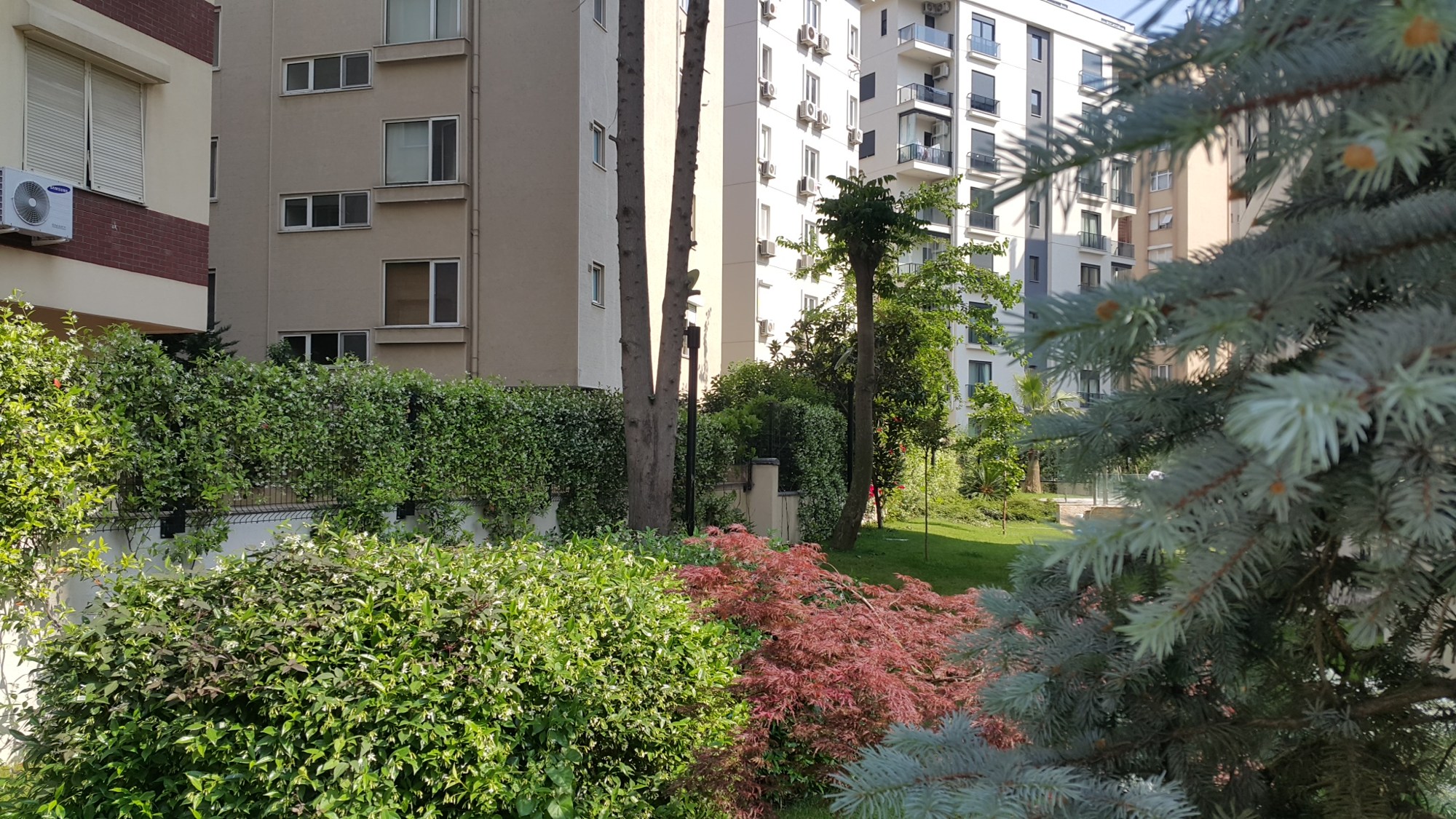 Giriş ve bahçe bitkilendirmesi · Sonrası · Diğer yönden görünüm