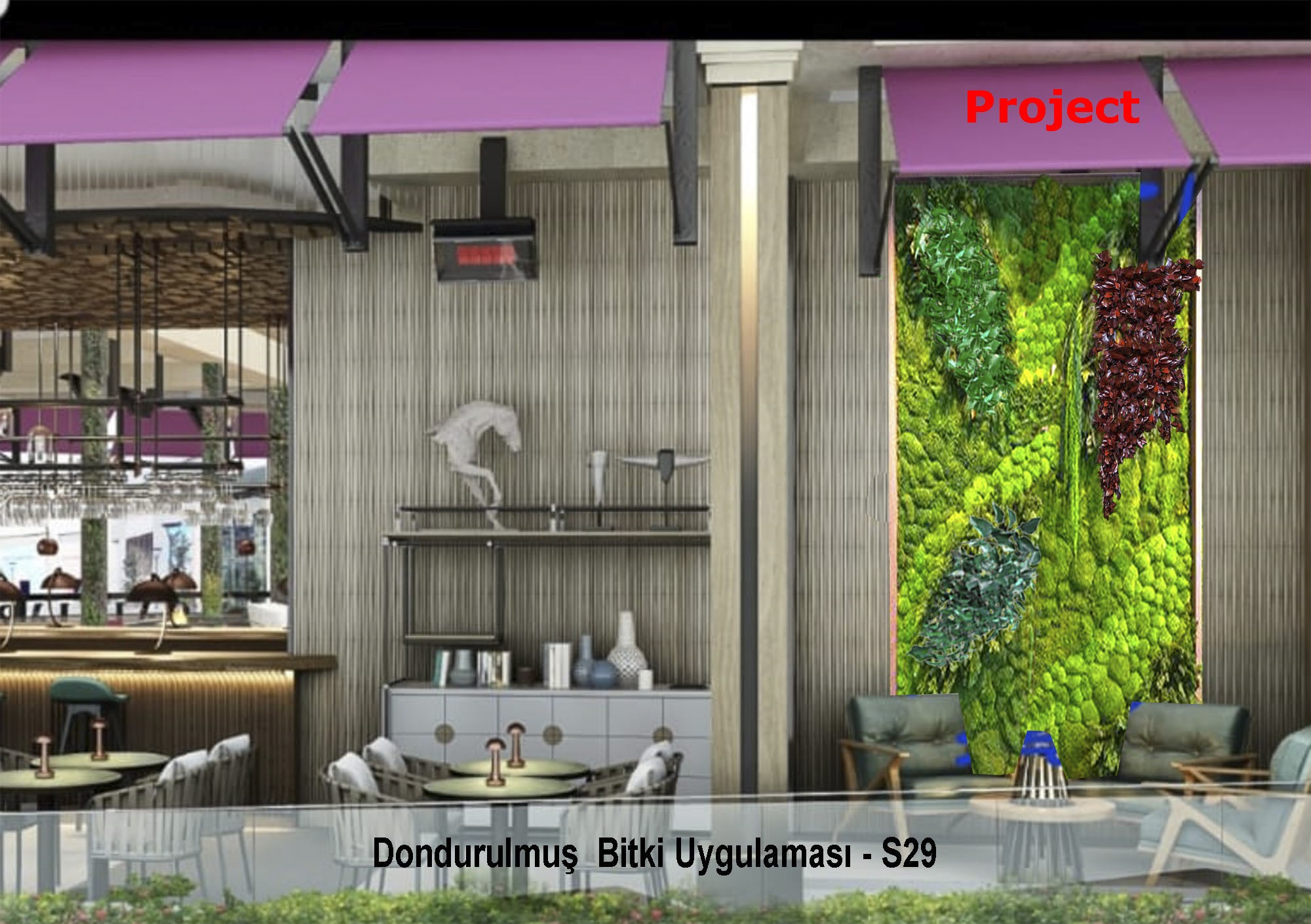 Dar dikey pano · Şoklanmış bitki ve yosun · Proje · S29 tasarım görseli