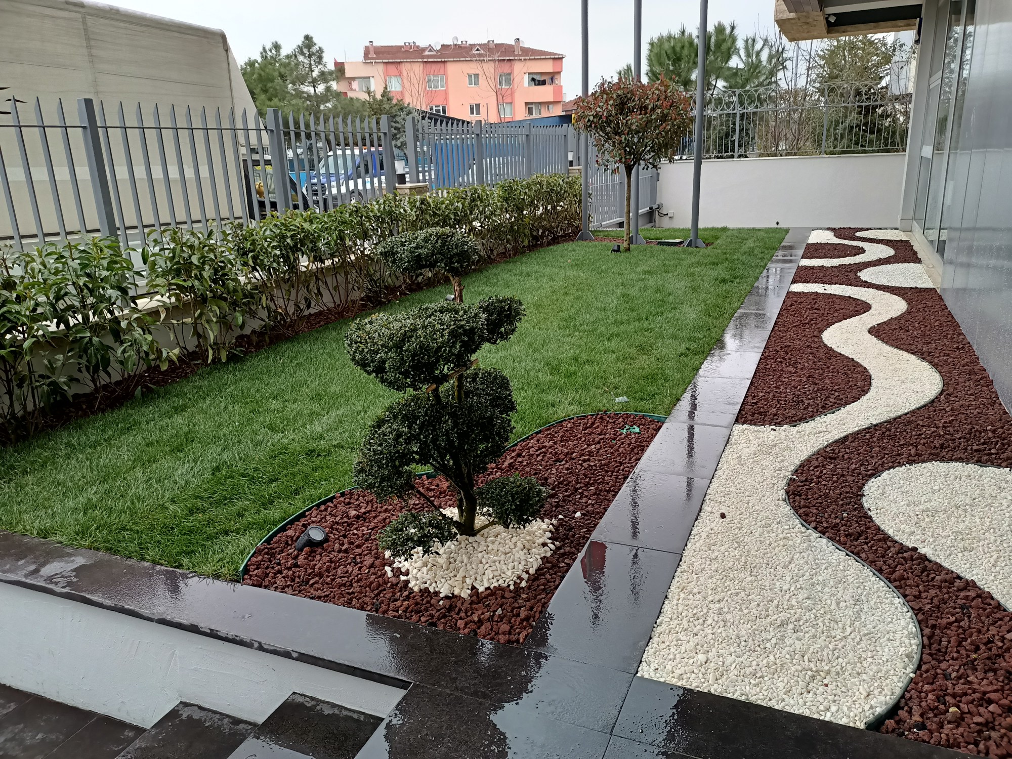 Sedum bahçesi · Ön cephe ve çakıl bordürü · Sonrası · Görünüm 1