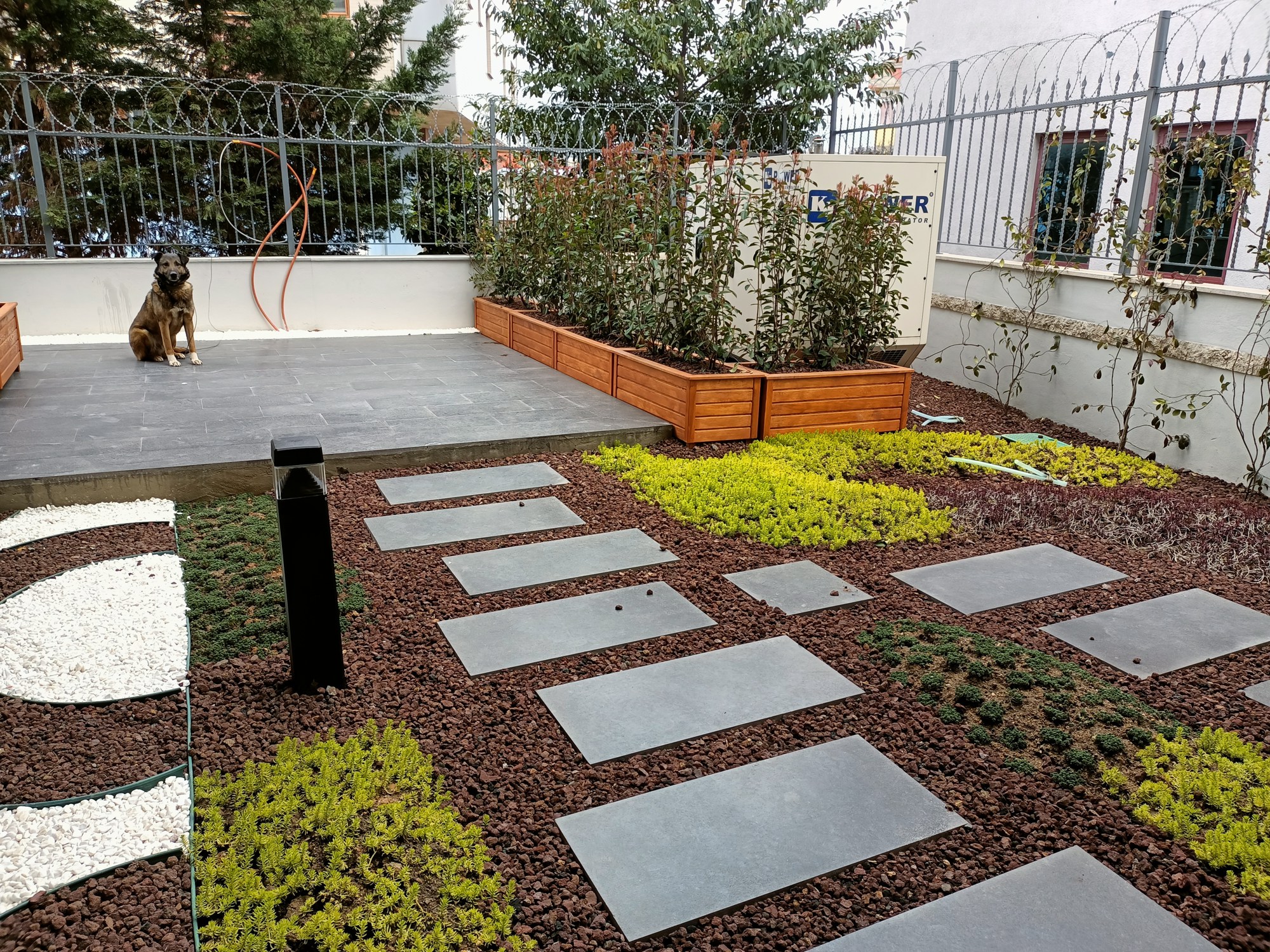 Sedum bahçesi · Adım taşlı geçiş ve saksılı teras · Sonrası · Teras ve ahşap saksılar