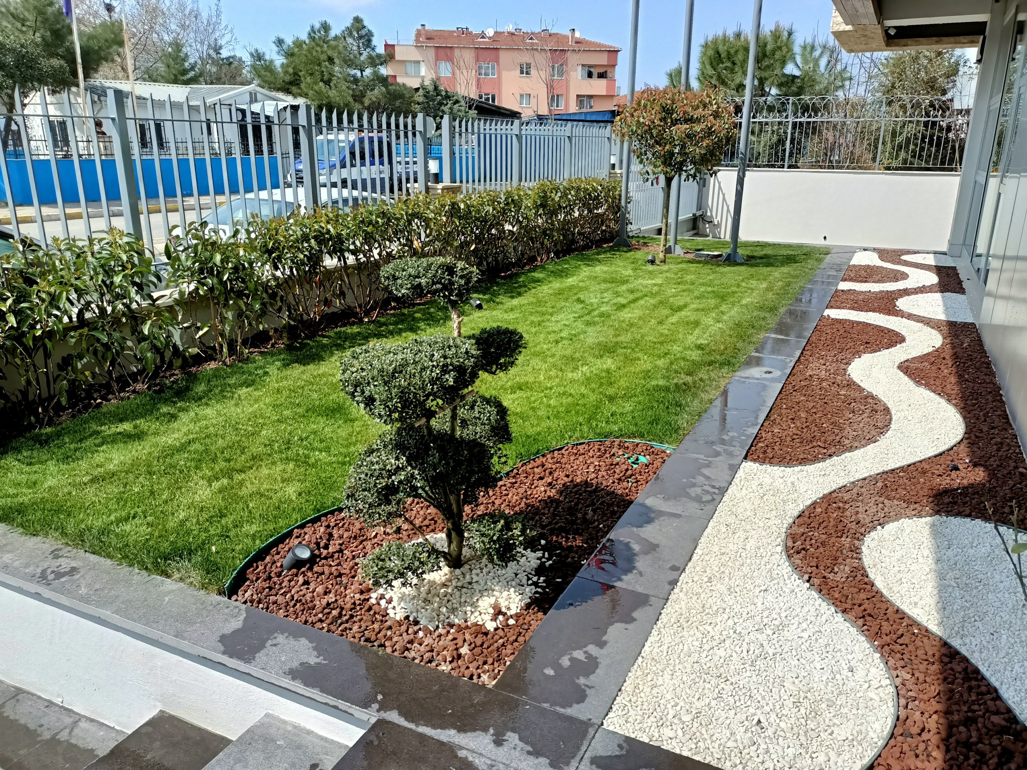 Sedum bahçesi · Ön cephe ve çakıl bordürü · Sonrası · Görünüm 3
