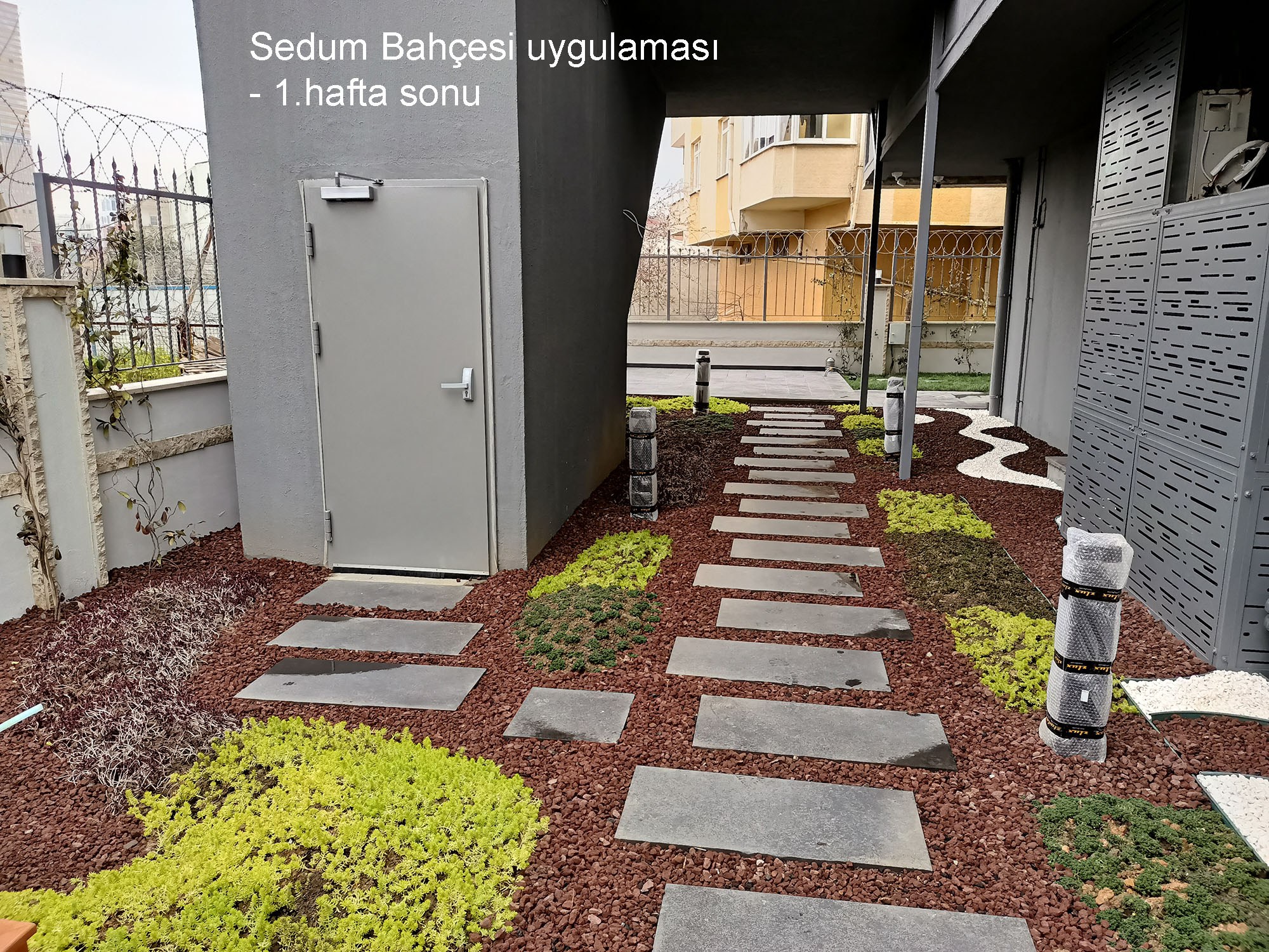 Sedum bahçesi · Adım taşlı geçiş ve saksılı teras · Uygulama · İlk hafta / ters açı