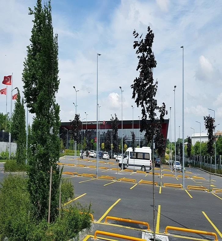 Ağaçlandırma ve giriş düzenlemesi