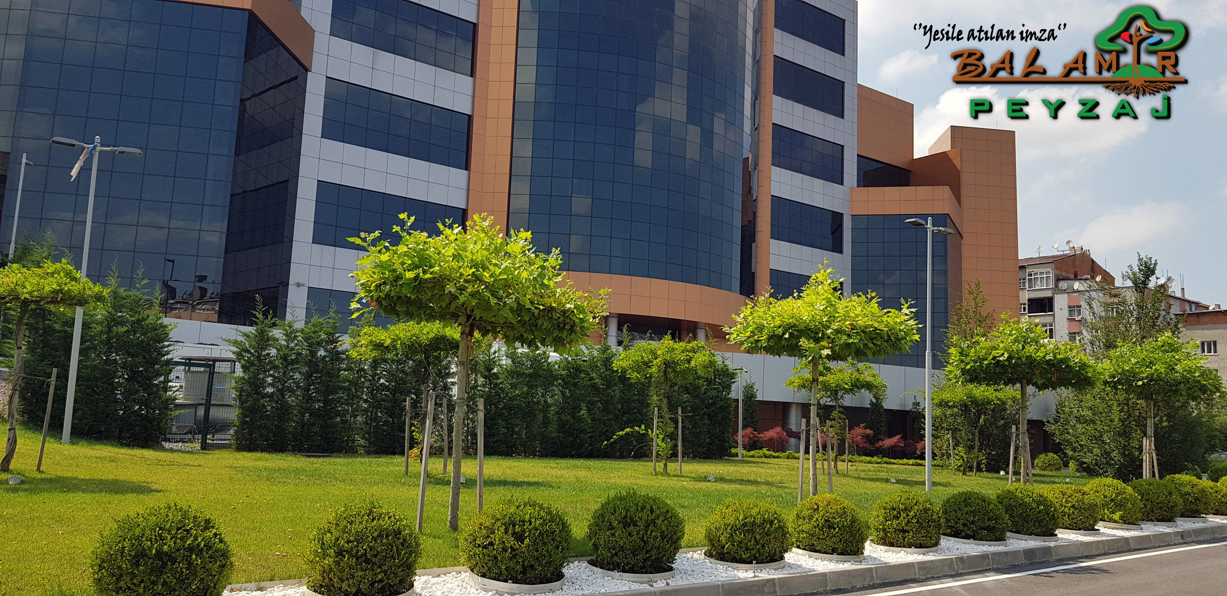 BAKOME · Giriş çevresi ve ağaçlı çim alanı · Sonrası · Ağaçlar ve çim alanı