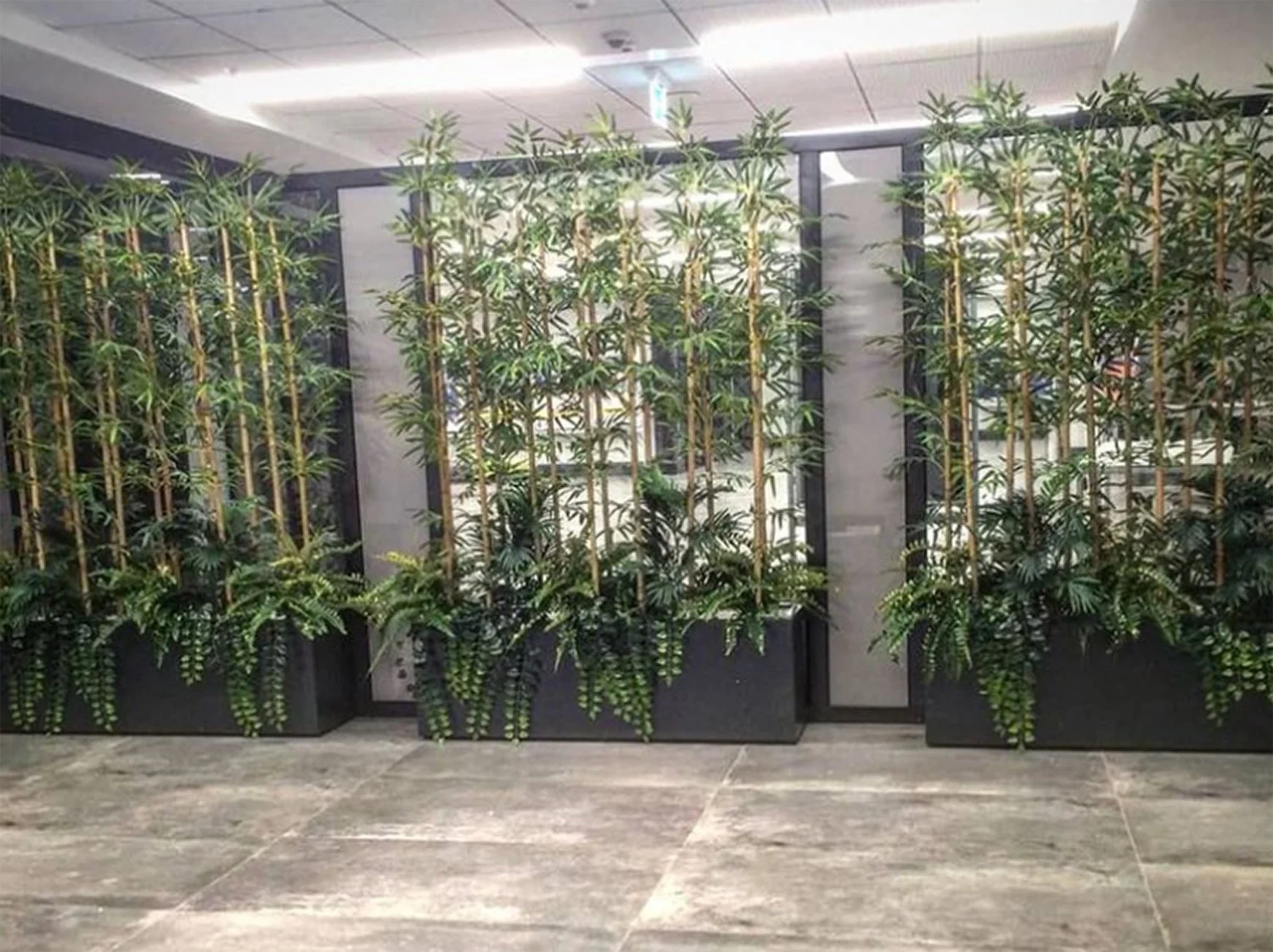 Cam bölme önü · Bambu saksıları · Sonrası · Bambu düzenlemesi