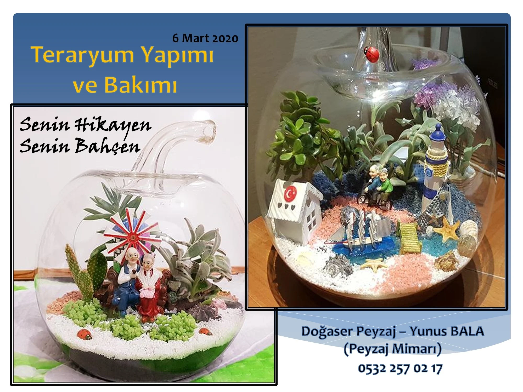 Eğitim sunumu · Etkinlik ve konsept · Sunum · Teraryum yapımı ve bakımı