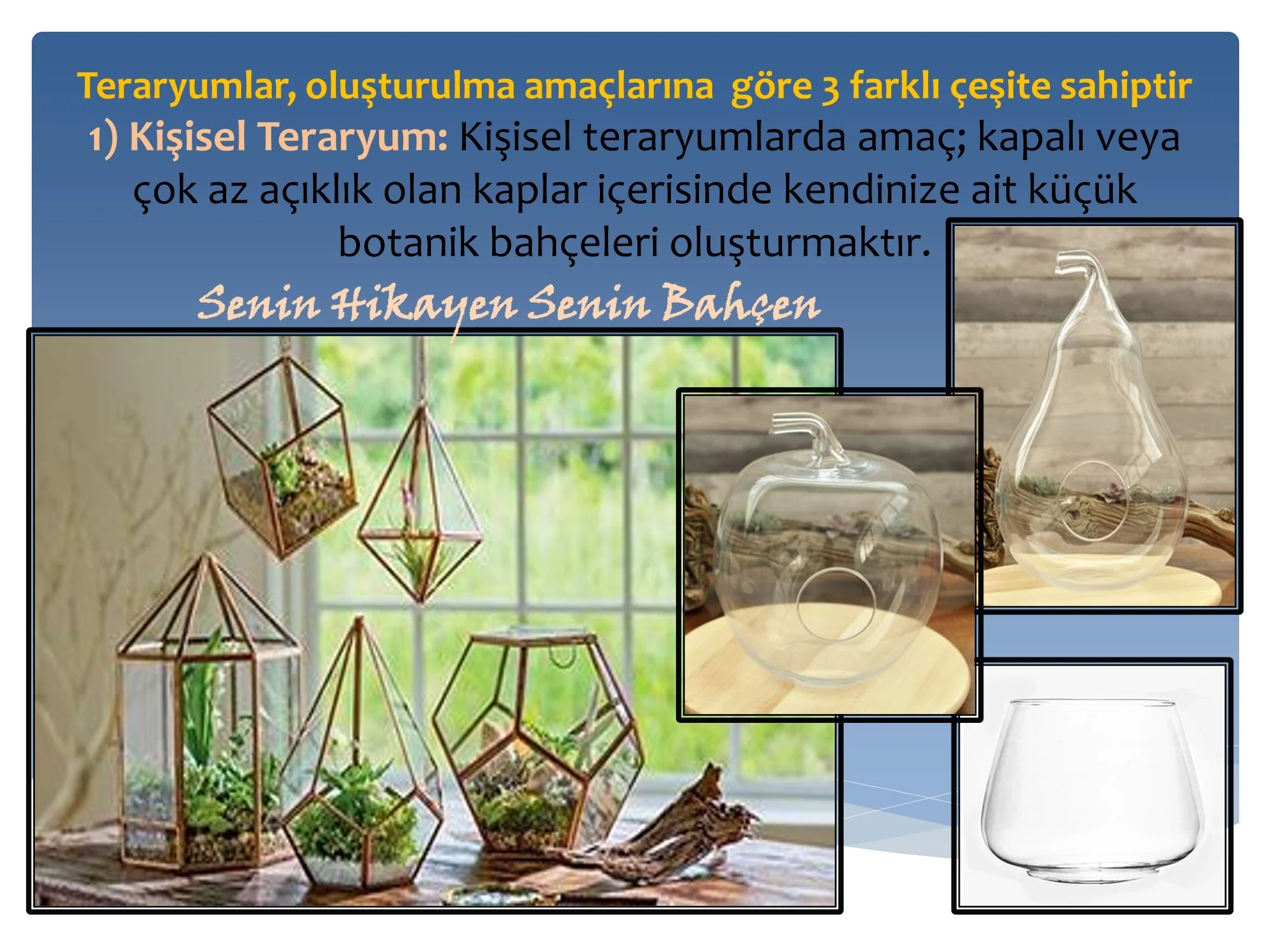 Eğitim sunumu · Teraryum örnekleri · Sunum · Kişisel teraryum
