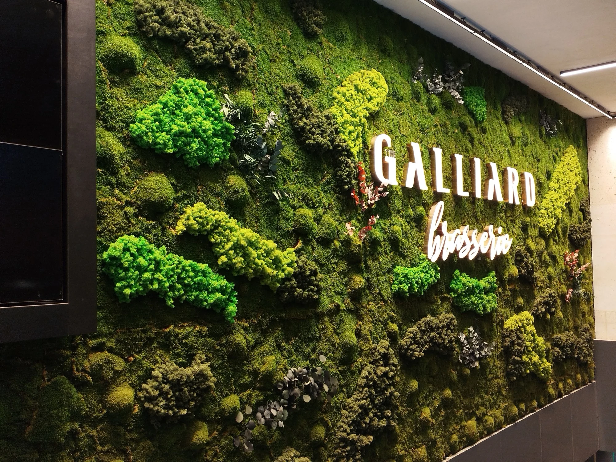 Galliard Brasserie · Sonrası · Marka çevresinde yosun duvar