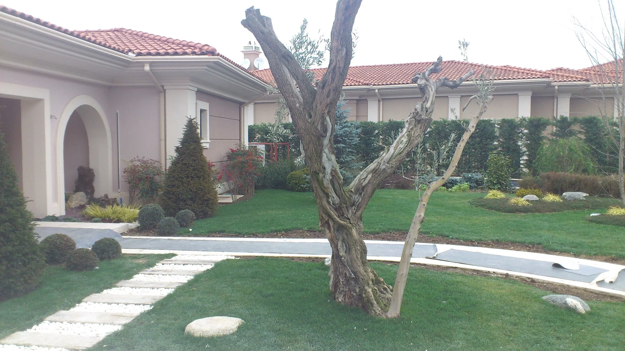 Giriş bahçesi · Zeytin ağacı ve bitkisel adalar · Sonrası · Tamamlanmış görünüm 1