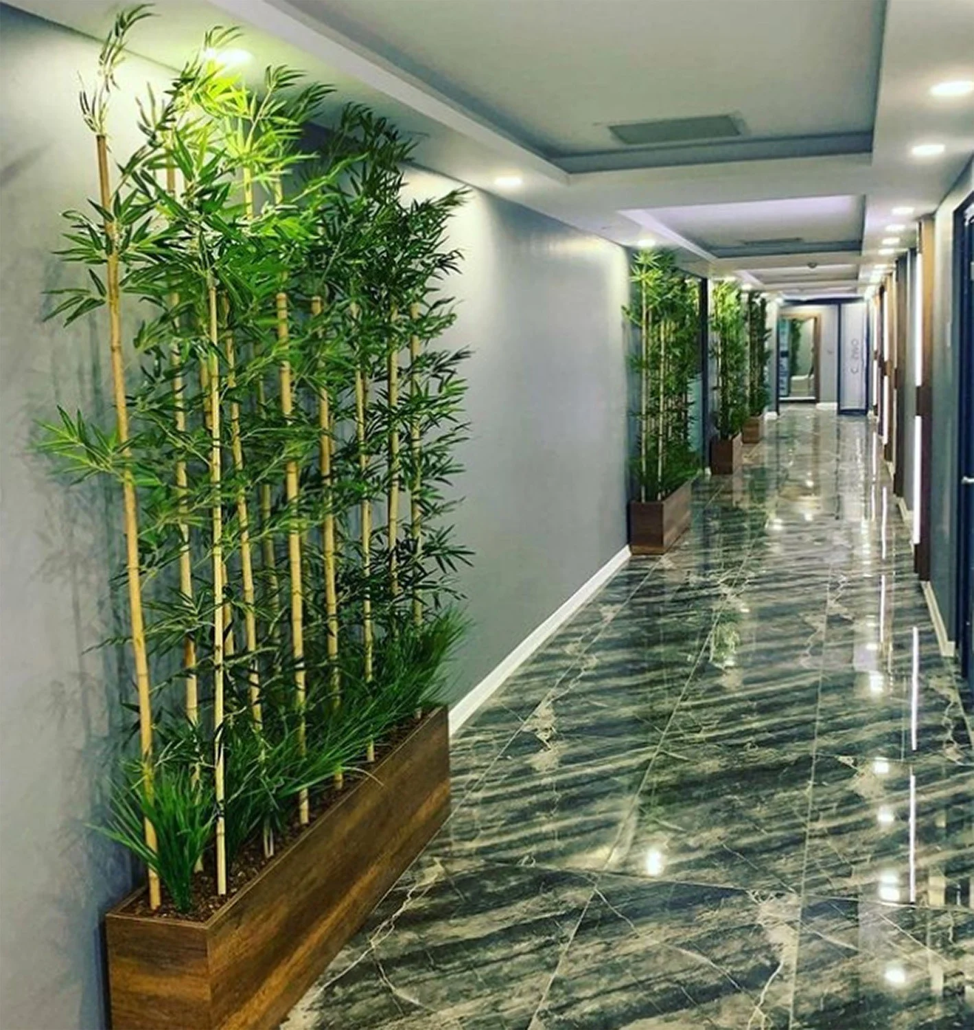Koridor · Ahşap saksılarda bambu · Sonrası · Koridor görünümü