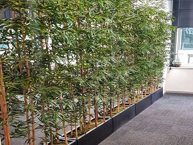 Ofis · Bambu ile mekân ayrımı · Sonrası · Bambu bölücü