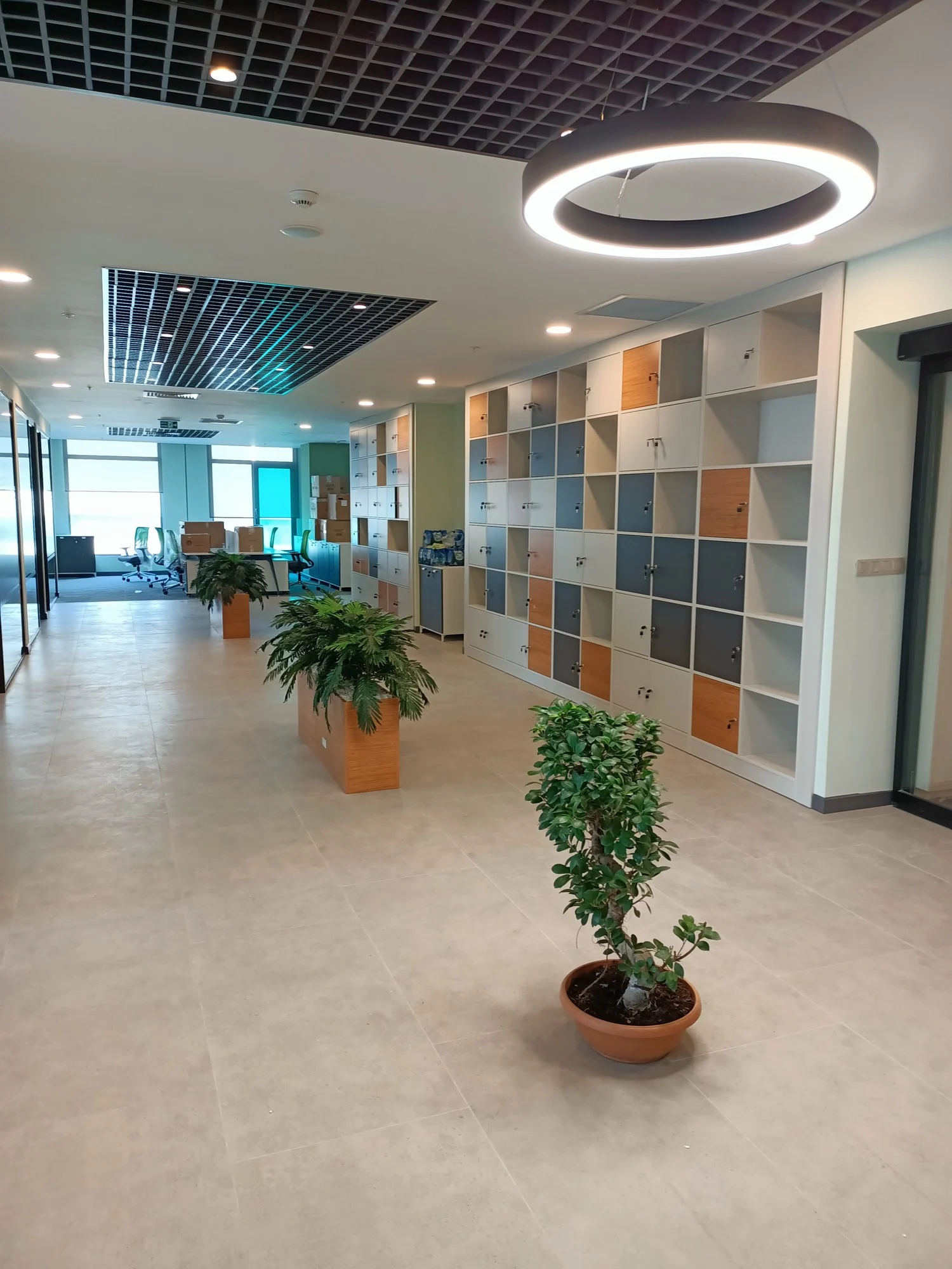 Ofis · Saksılı iç mekân bitkilendirmesi