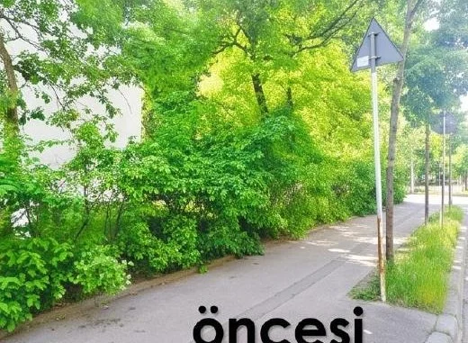 Öncesi · Mevcut alan