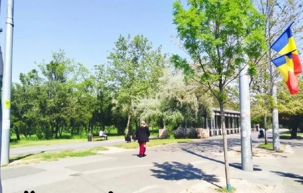 Öncesi · Mevcut alan