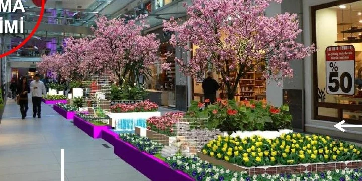 Proje · İç mekân bitkisel düzenleme