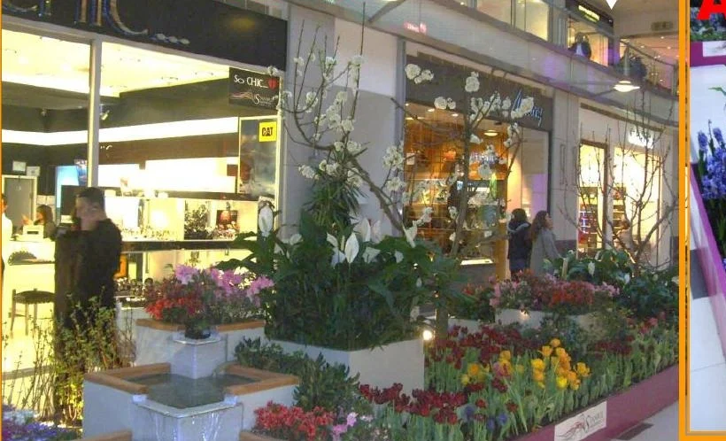 Uygulama · Katalogdaki iç mekân fotoğrafı
