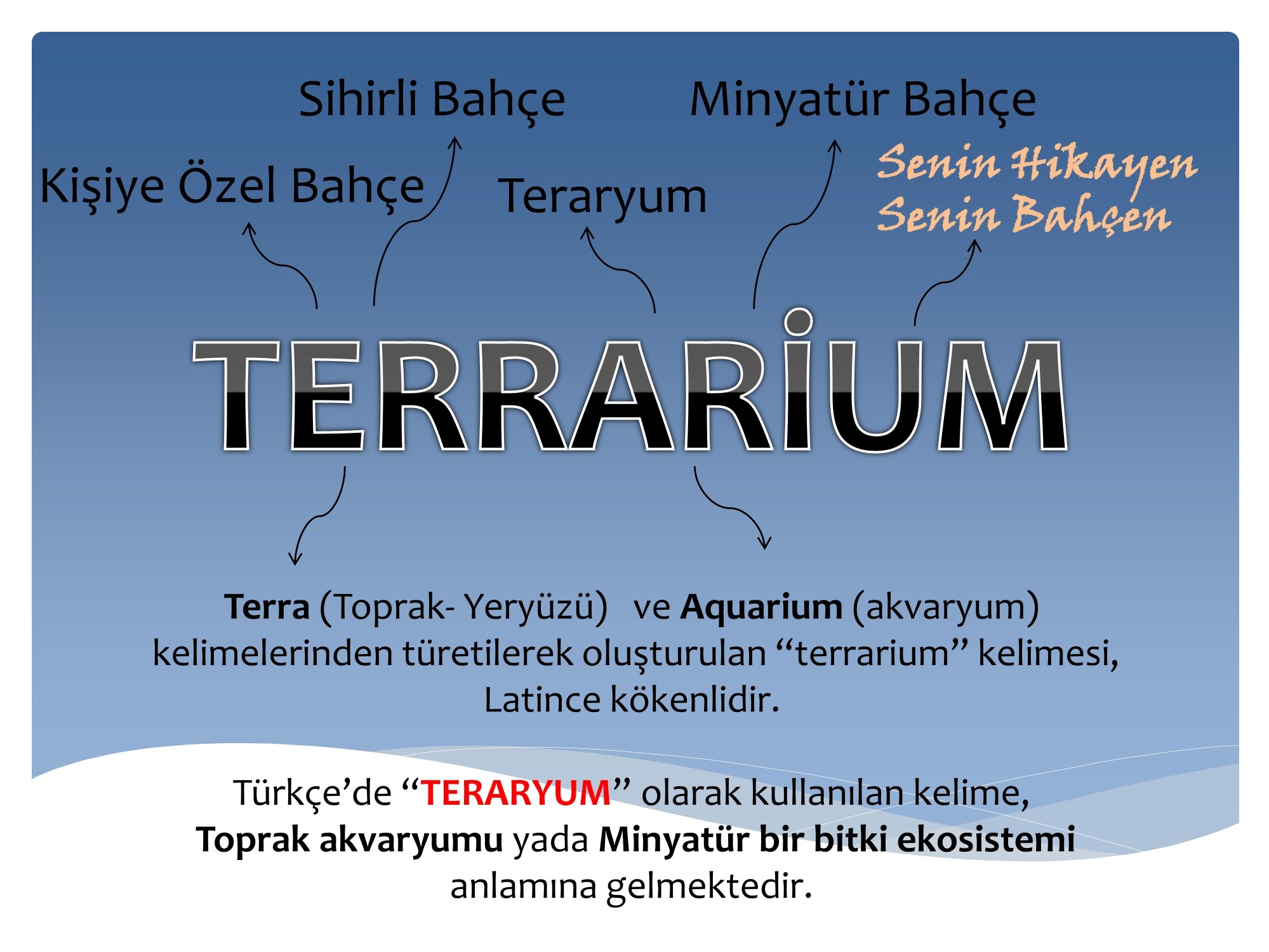 Eğitim sunumu · Etkinlik ve konsept · Sunum · Teraryum kavramı