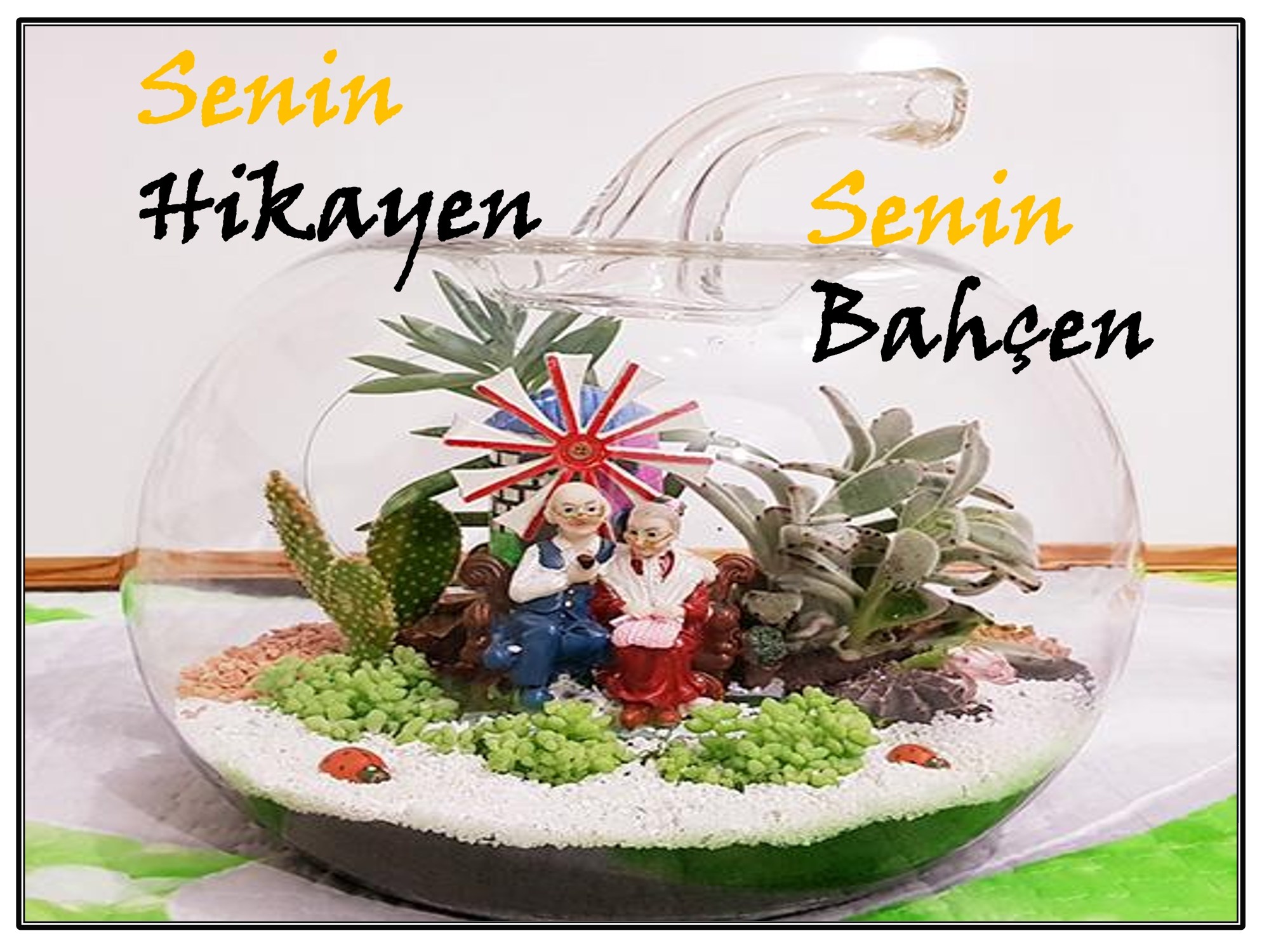 Eğitim sunumu · Teraryum örnekleri · Sunum · Örnek kompozisyon