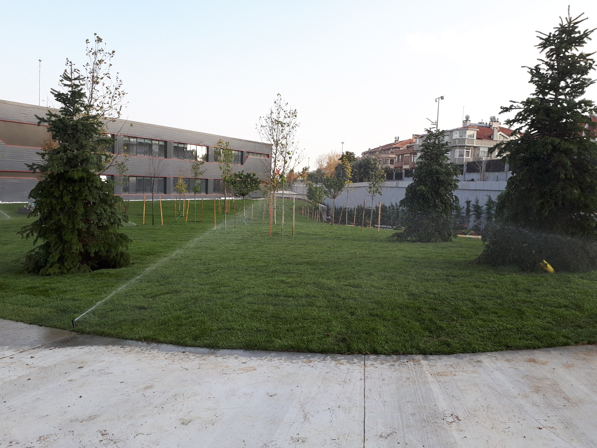THY · Arka bahçe · Sonrası · Çim ve sulama