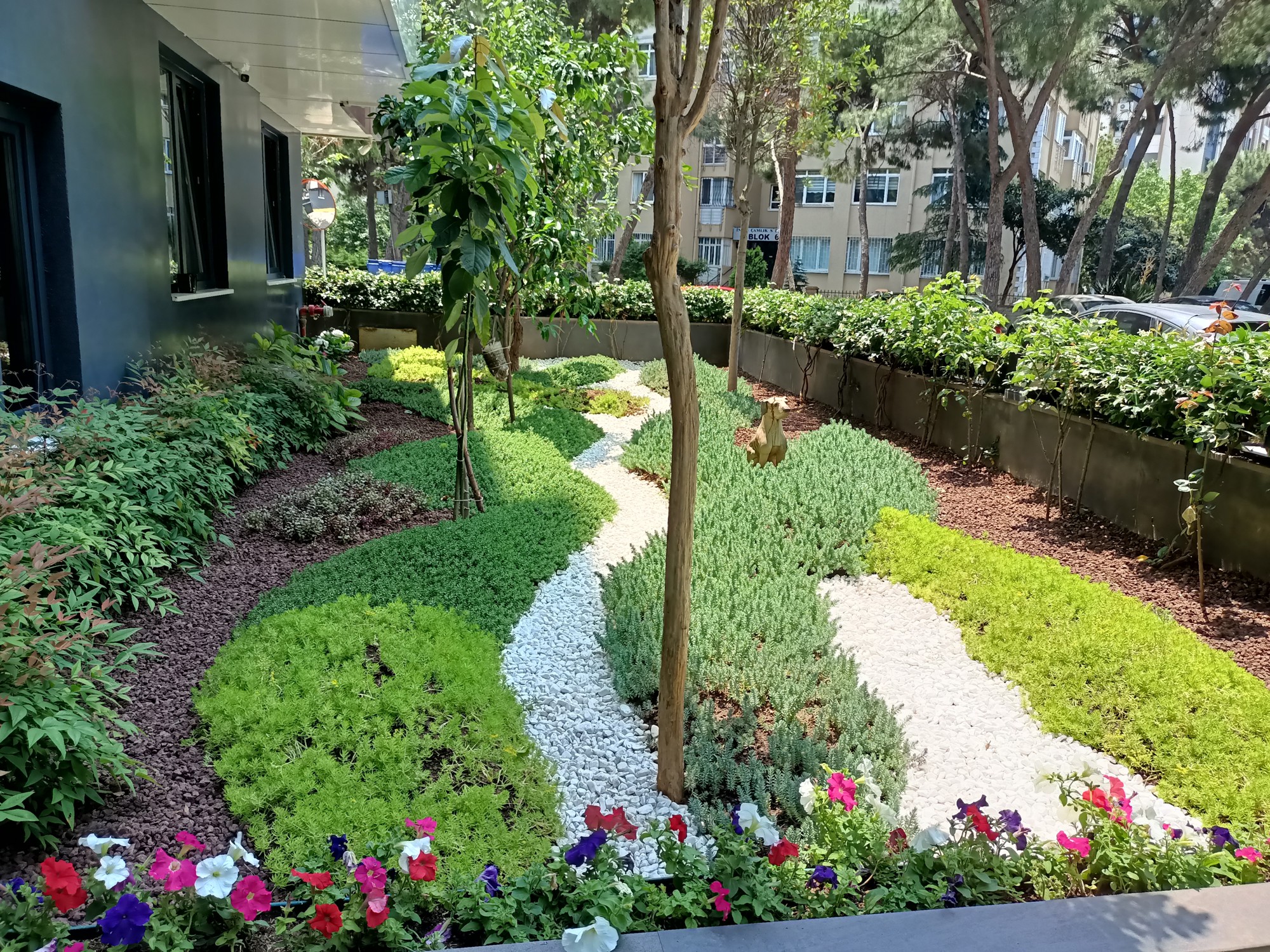 Dış mekân · Kuru bahçe ve giriş peyzajı · Sonrası · Gelişen sedum alanı