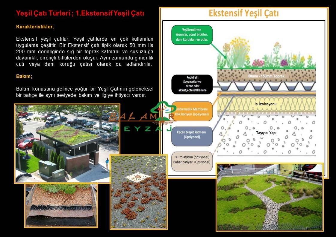 Yeşil çatılar · Konsept ve sistem örnekleri · Sistem şeması · Ekstensif yeşil çatı